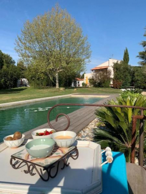 Petit mas calme typique du Sud !
